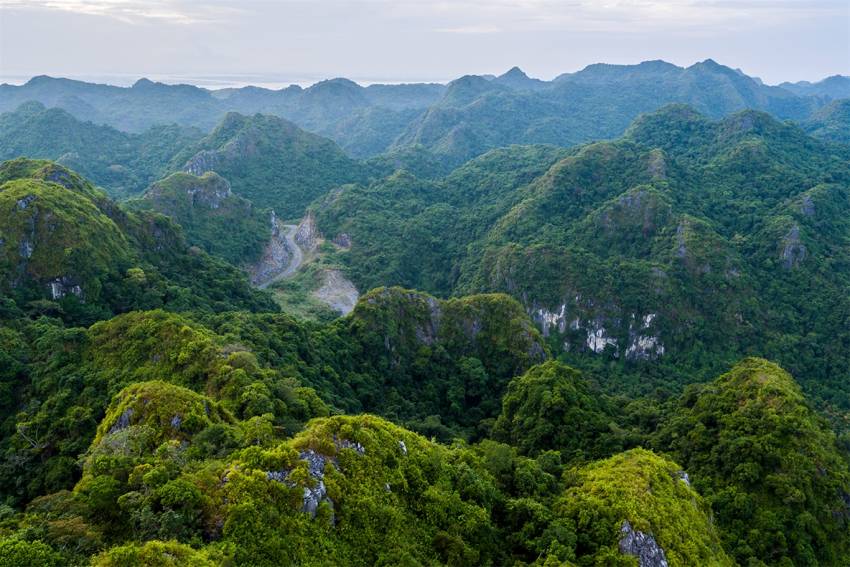 kinh nghiệm du lịch hải phòng 2 ngày 1 đêm