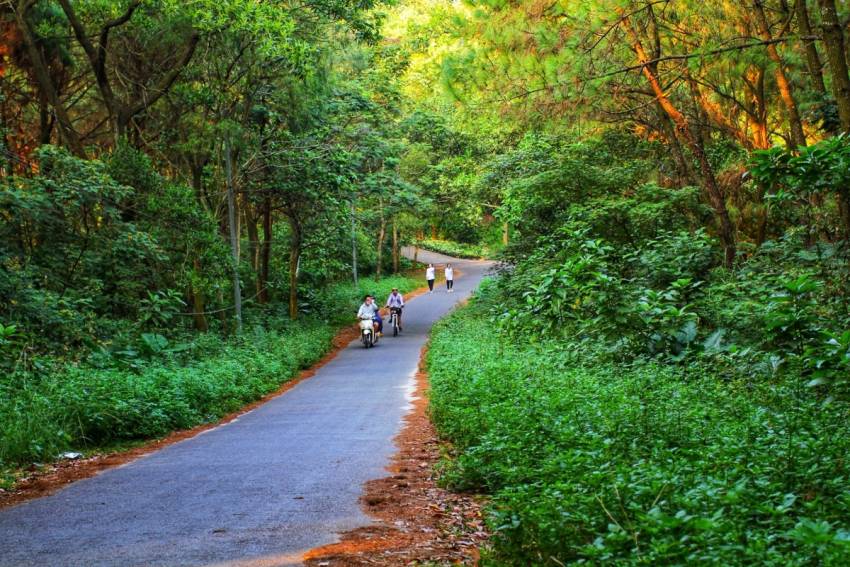 kinh nghiệm đi đà lạt thu nhỏ hải phòng