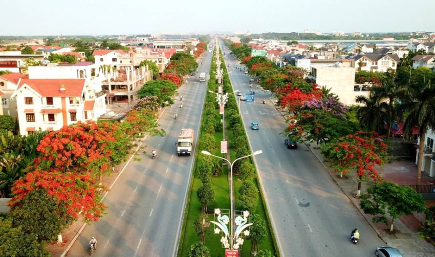 hải phòng mùa hoa phượng đỏ