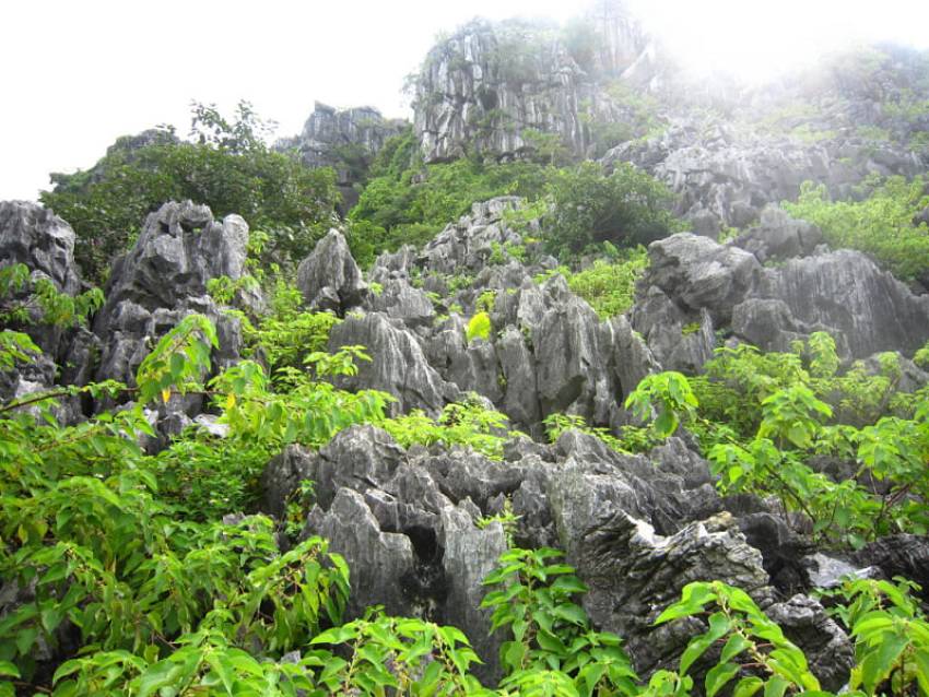 điểm check in đẹp hải phòng