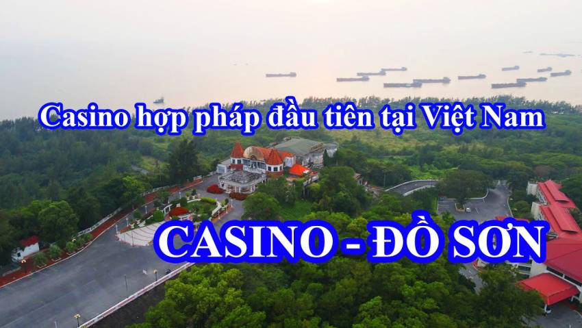 kinh nghiệm du lịch đồi rồng đồ sơn