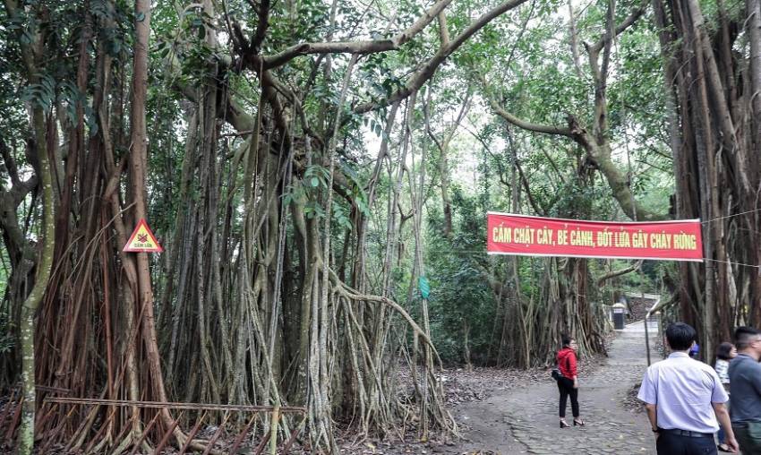 review hòn dấu hải phòng